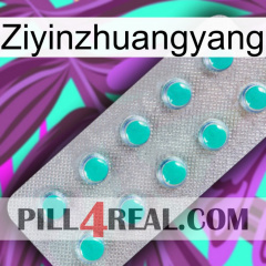 Ziyinzhuangyang 28